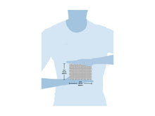 Load image into Gallery viewer, Octopus - Marine Life