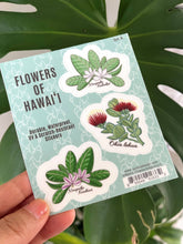 Load image into Gallery viewer, Flowers of Hawai'i Sticker Sheet SET A (Native Flowers)