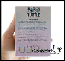 Load image into Gallery viewer, 1 Hatch a Turtle Animal Grow in Water - Add Water Expands