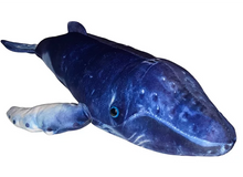 Load image into Gallery viewer, Humpback Whale Aquatic Plush Stuffed Animal 16”