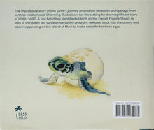 Load image into Gallery viewer, Honu 5690 by Shaowei Liu