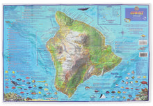 Load image into Gallery viewer, Franko Dive Map