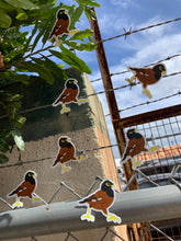 Load image into Gallery viewer, Myna Bird Sticker

