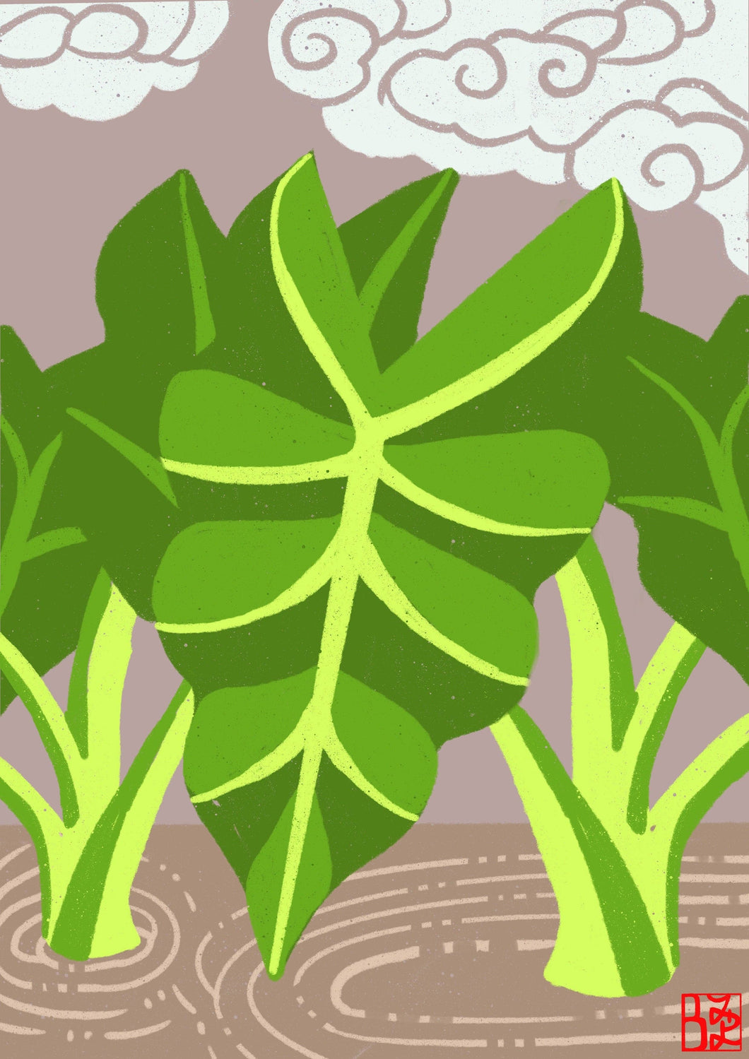 Kalo Card - Everyday Hawaiian Greeting