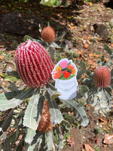 Load image into Gallery viewer, Protea Bucket Sticker

