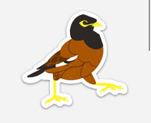 Load image into Gallery viewer, Myna Bird Sticker
