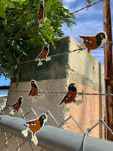 Load image into Gallery viewer, Myna Bird Sticker

