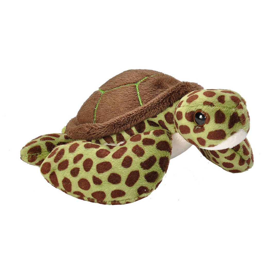 Pocketkins-ECO-Green Sea Turtl Stuffed Animal 5
