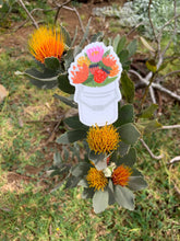 Load image into Gallery viewer, Protea Bucket Sticker
