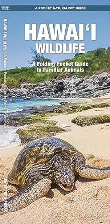 Hawai'i Wildlife: A Folding Pocket Guide to Familiar Animals