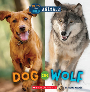 Wild World: Pets and Wild Animals: Dog or Wolf
