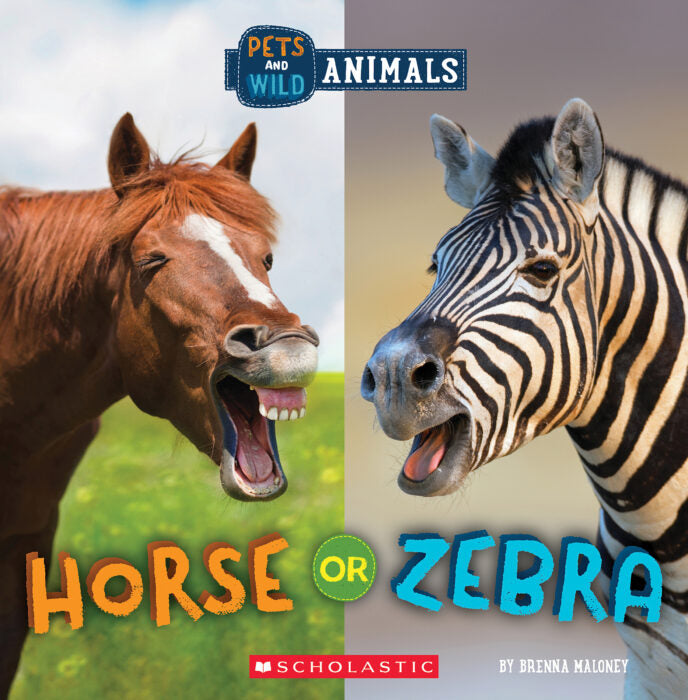 Wild World: Pets and Wild Animals: Horse or ZIbra
