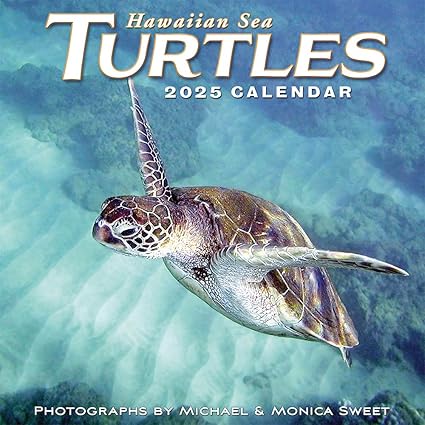 2025 Hawaiian Sea Turtles Wall Calendar