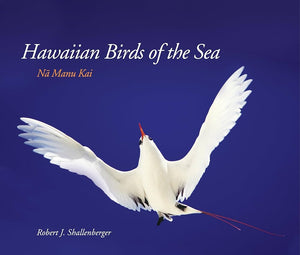 Hawaiian Birds of the Sea