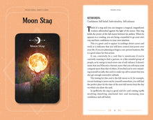 Load image into Gallery viewer, Moon Magic Book &amp; Card Deck
