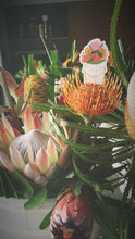 Load image into Gallery viewer, Protea Bucket Sticker
