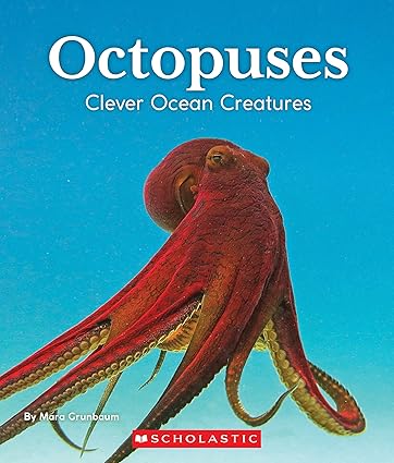 Octopuses Clever Ocean Creatures