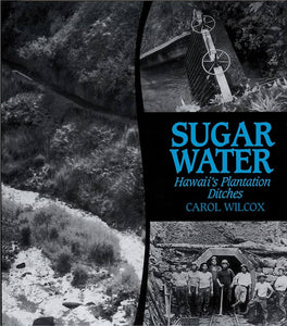 Sugar Water Paper