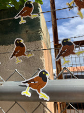 Load image into Gallery viewer, Myna Bird Sticker
