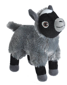 CK-Mini Goat Stuffed Animal 8"