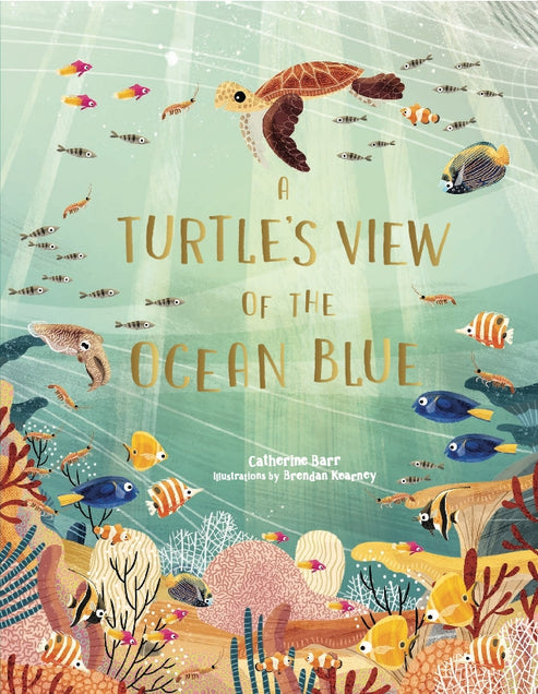 A Turtle's View of the Ocean Blue by Catherine Barr and Brendan Kearney