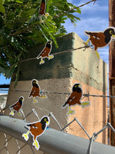 Load image into Gallery viewer, Myna Bird Sticker
