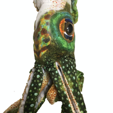 Load image into Gallery viewer, 16&quot; Cuttlefish Squid Plush Stuffed Animal Ocean Creature
