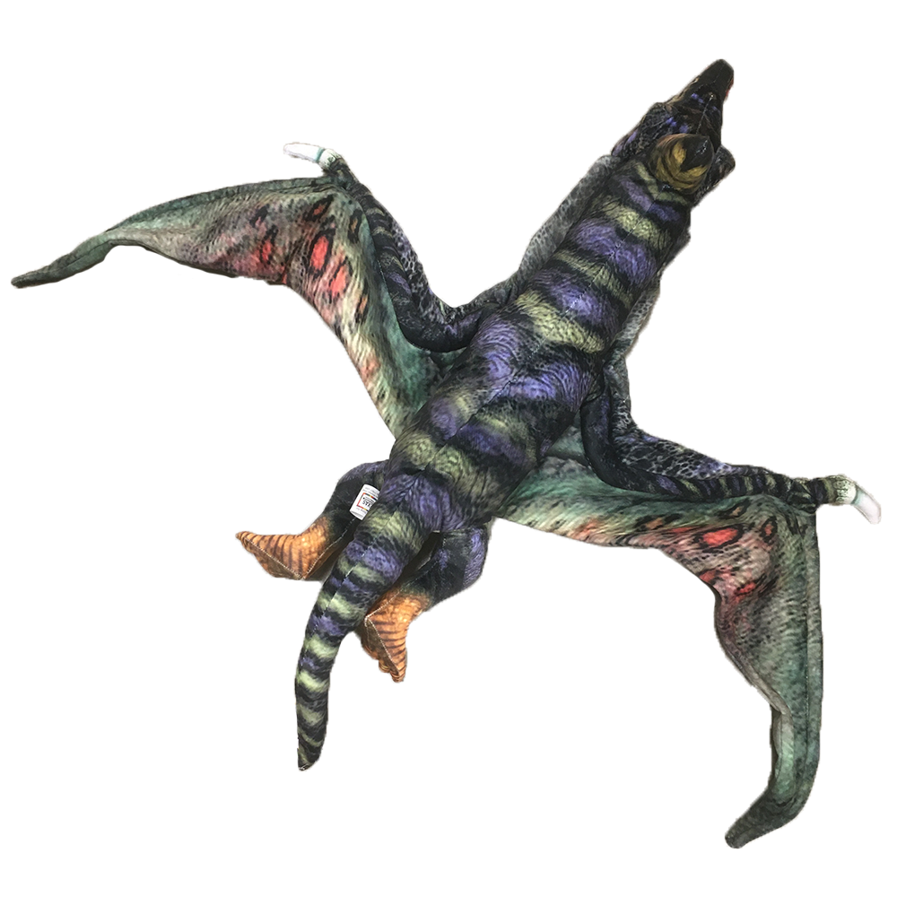 Pterosaur 40