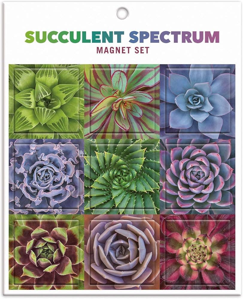 Succulent Spectrum Magnet Set