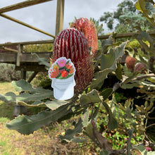 Load image into Gallery viewer, Protea Bucket Sticker
