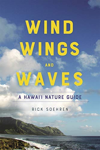 Wind Wings And Waves