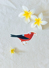 Load image into Gallery viewer, &#39;I&#39;iwi Bird Sticker
