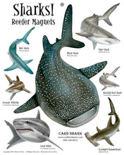 Load image into Gallery viewer, Sharks! Reefer Magnets
