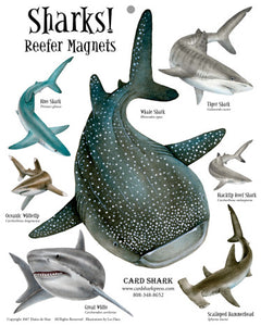 Sharks! Reefer Magnets