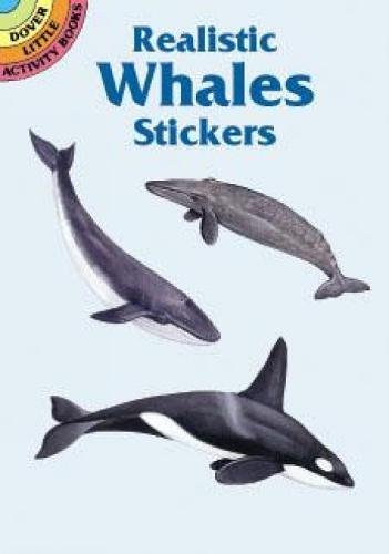 Little Activity Books Realistic Whales Stickers by Jan Sovak